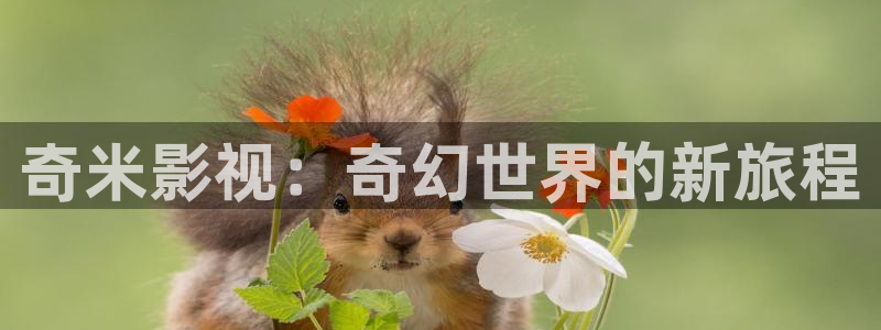迪迦奥特曼樱花动漫免费观看：奇米影视：奇幻世界的新旅程