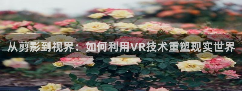 秋霞电影樱花动漫：从剪影到视界：如何利用VR技术重塑现实世界