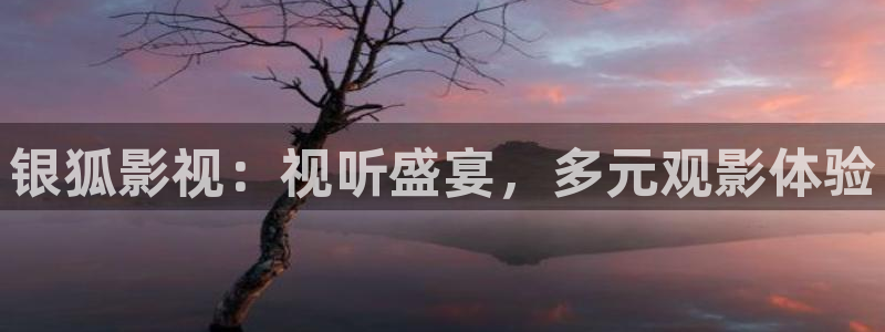 樱花视频免费高清：银狐影视：视听盛宴，多元观影体验