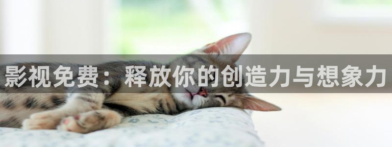 大恶司动漫樱花免费观看