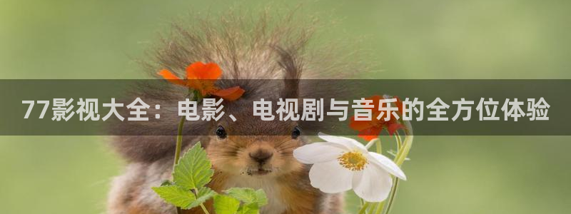 樱花视频大全免费观看电视剧：77影视大全：电影、电视剧与音乐的全方位体验