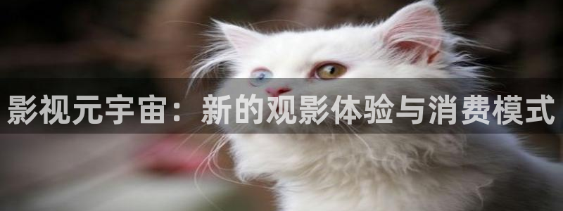 樱花动漫在线视频观看：影视元宇宙：新的观影体验与消费模式