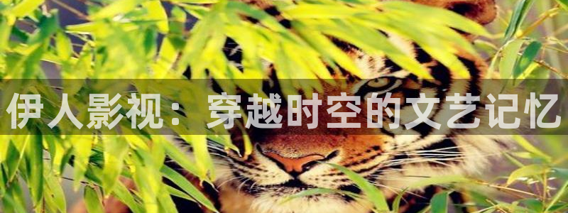 樱花视频18+：伊人影视：穿越时空的文艺记忆