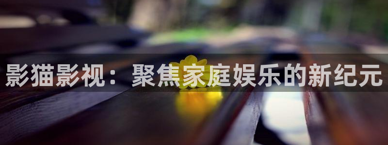 红樱花视频：影猫影视：聚焦家庭娱乐的新纪元