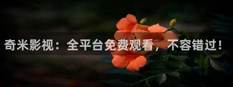 樱花动漫第八集免费观看