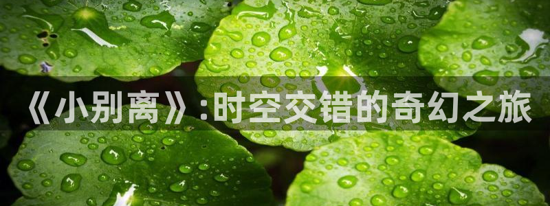 你是我的荣耀樱花动漫免费观看