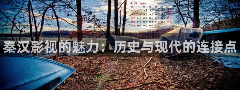 星掠者樱花动漫免费观看